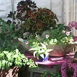 In Mit Meerblick, Terrasse, Klimaanlage, W-lan * Bol